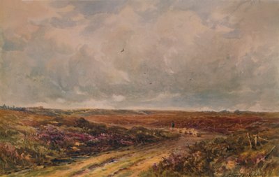 Jour de tempête sur une commune du Surrey, 19e-20e siècle, 1935 - John Jessop Hardwick