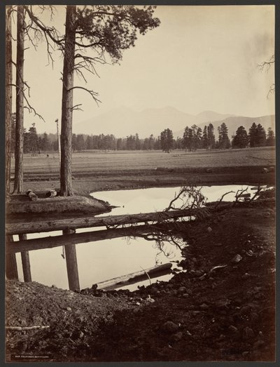Montagnes San Francisco, Arizona - John K. Hillers