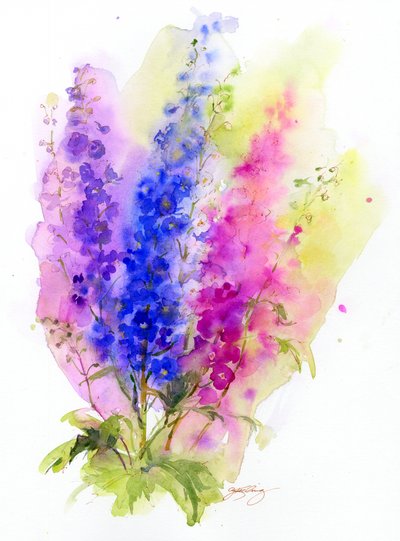 Delphinium - John Keeling