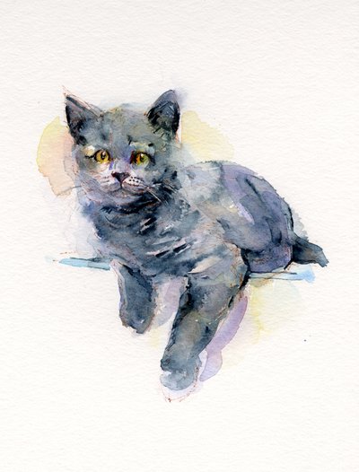 Chaton gris - John Keeling
