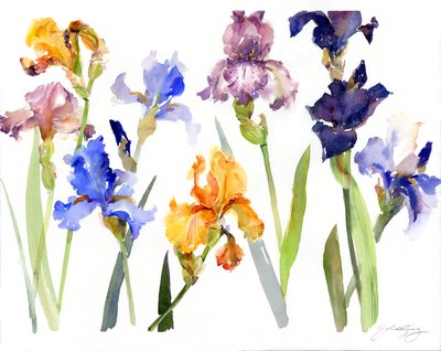 Iris, 2014 - John Keeling