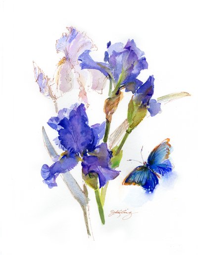 Iris avec papillon bleu - John Keeling