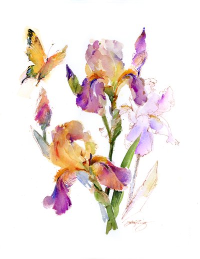 Iris avec papillon jaune - John Keeling