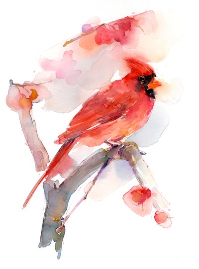 Cardinal rouge, 2016 - John Keeling