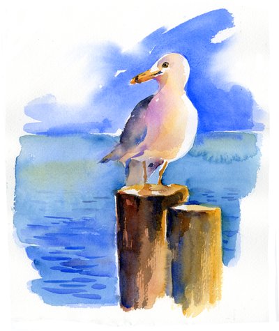 Mouette sur le quai - John Keeling