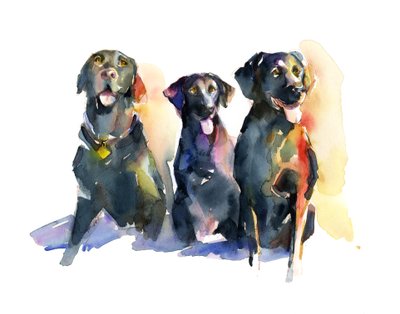 Trois labradors noirs - John Keeling