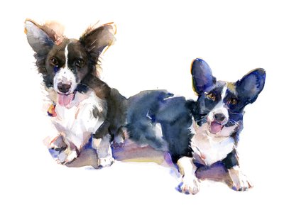 Deux corgis - John Keeling
