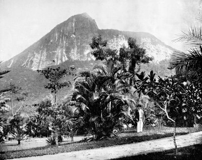 Jardins botaniques et mont Corcovado, Rio de Janeiro, Brésil - John L. Stoddard