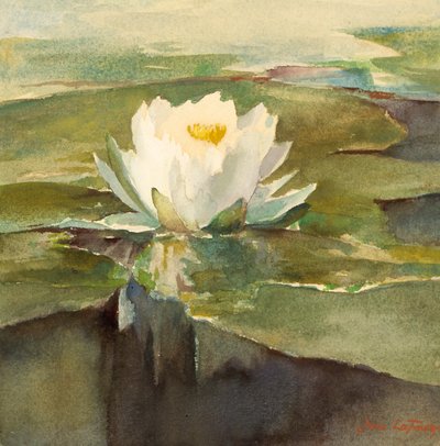Nénuphar au soleil, ca. 1883 - John La Farge