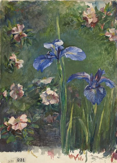 Roses sauvages et iris, 1887 - John La Farge