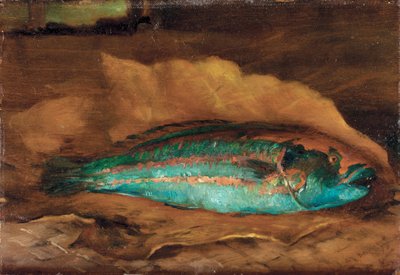 Étude du poisson-perroquet, Samoa - John La Farge or Lafarge
