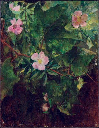 Églantine et vigne, étude de la nature, 1871 - John La Farge or Lafarge