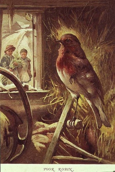 Pauvre Robin, illustration de 