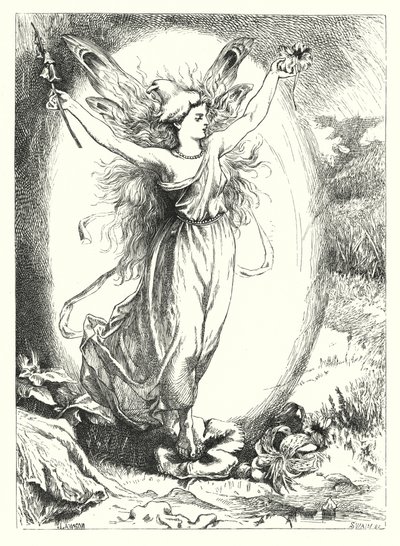 Les roses cachées - John Lawson