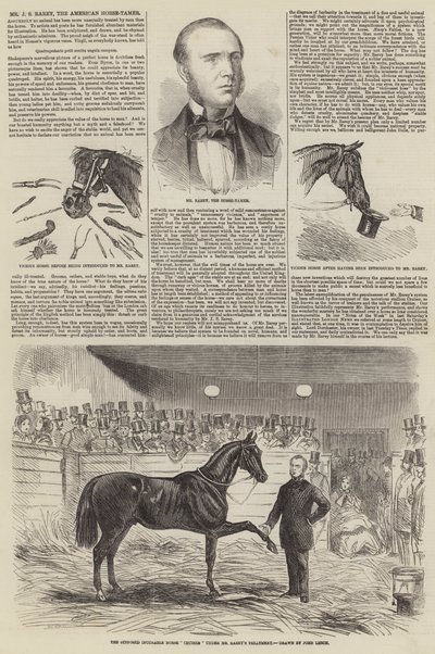 M. J S Rarey, le dompteur de chevaux américain - John Leech
