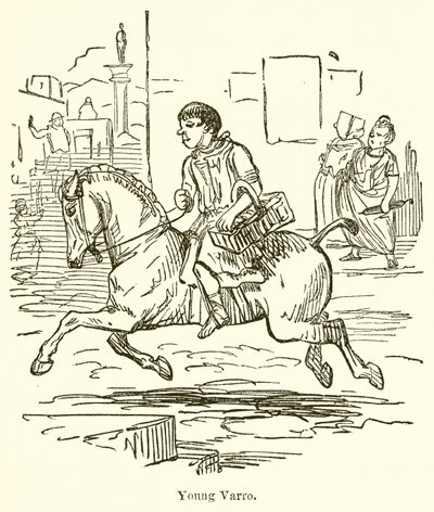 Jeune Varro - John Leech