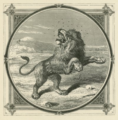 Le moustique pique les yeux du lion - John Leighton
