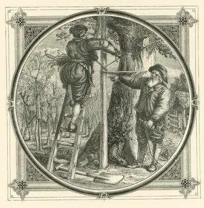 Les branches peuvent être formées, mais pas le tronc (gravure) - John Leighton