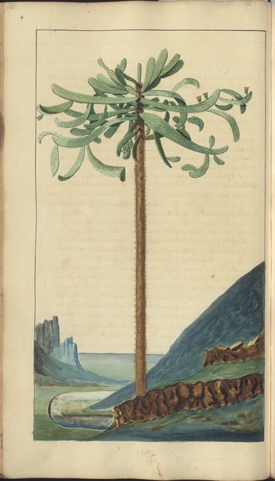 Une page des 