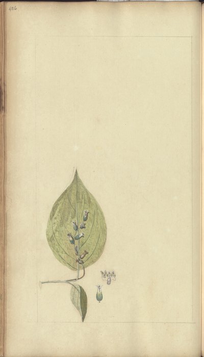 Une page des 