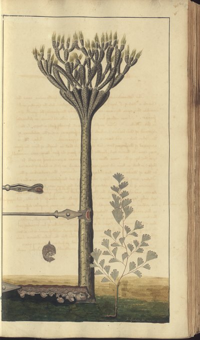 Une page des 