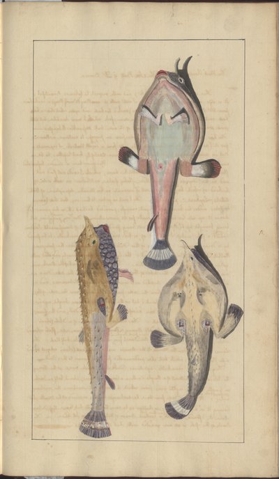 Dessins de Lindsay Vol. VII, 27 - John Lindsay