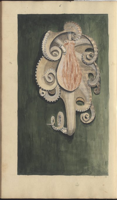 Dessins de Lindsay Vol. VII, 28 - John Lindsay
