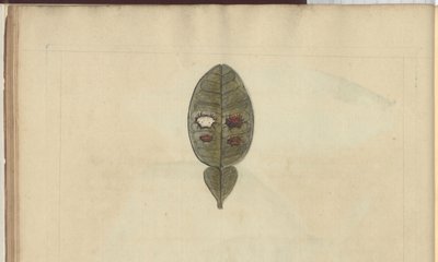 Dessins de Lindsay Vol. VII, 3 - John Lindsay