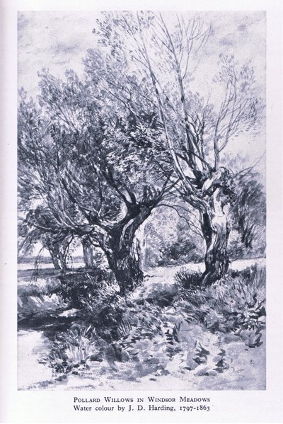 Bûcherons à la périphérie de Windsor Forest, Nature in Britain publié par Collins - John Linnell