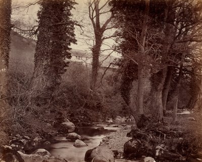 Sans titre, vers 1859 - John Lloyd