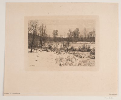 Bøllemosen - John Lübschitz