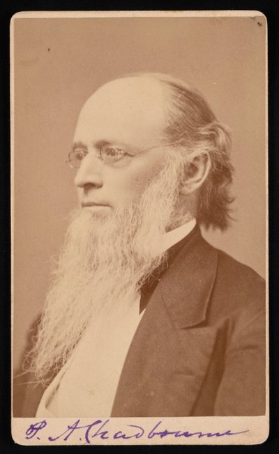 Portrait de Paul Ansel Chadbourne 1823-1883 - John Lyman Lovell
