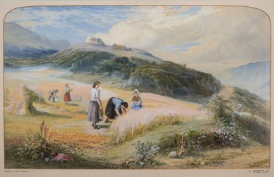 Champ de récolte, Arran - John MacWhirter