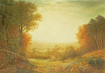 Sur Hampstead Heath en 1862 ou Quand le soleil en splendeur se fane, 1862 - John MacWhirter