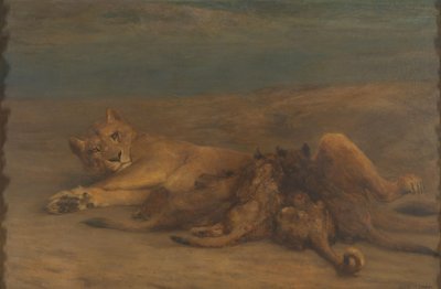 Une lionne avec quatre lionceaux allaitant, appelée 