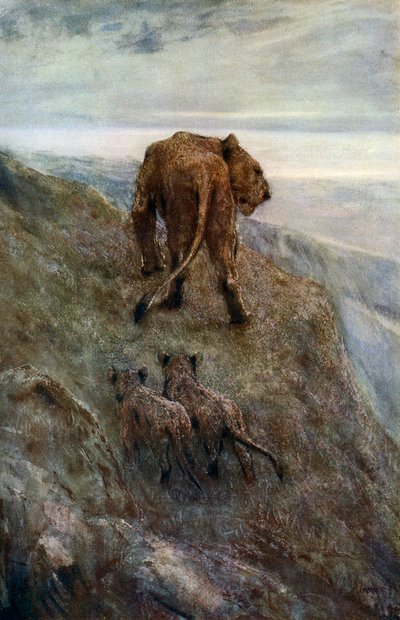 En alerte - Lionne et lionceaux, vers 1878-1910, 1912 - John Macallan Swan