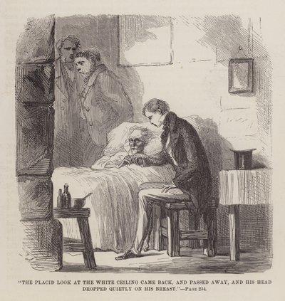 Illustration pour Les Grandes Espérances - John McLenan
