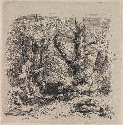 Un chemin à travers le bois - John Middleton