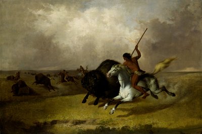 Chasse au bison dans les prairies du sud-ouest - John Mix Stanley