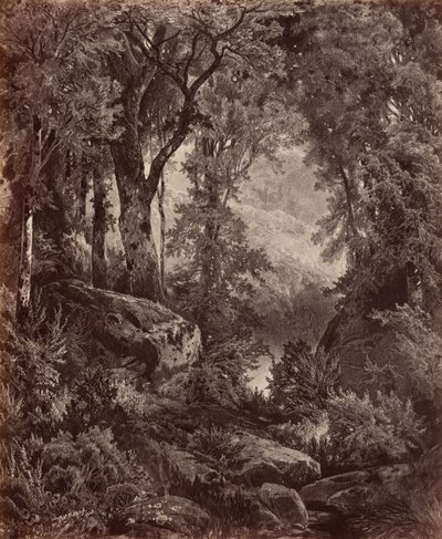 Solitude,1865 (photo) - John Moran
