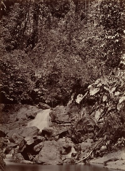 Paysage tropical, Cascade, Rivière Limon, 1871 - John Moran