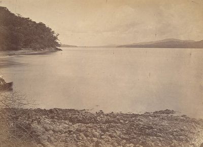 Paysage tropical, port de Darien - Vue vers le sud, 1871 - John Moran