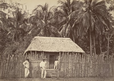Paysage tropical, hutte indigène, Turbo - John Moran