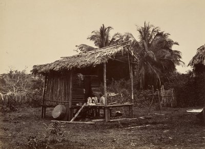 Paysage tropical, hutte indigène, Turbo, 1871 - John Moran