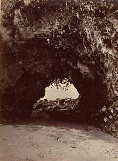 Paysage tropical, Arche naturelle, Baie de Cupica - John Moran
