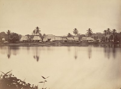 Paysage tropical, Santa Maria del Real, Darien, 1871 - John Moran