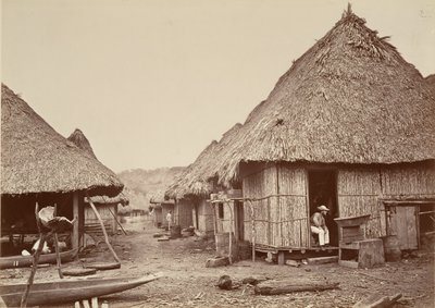 Paysage tropical, rue, Chipigana - John Moran