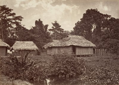 Paysage tropical, Turbo Village, 1871 - John Moran