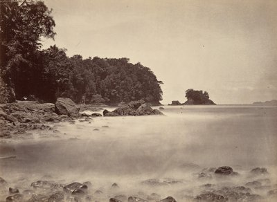 Paysage tropical, vue de la baie de Limon, 1871 - John Moran