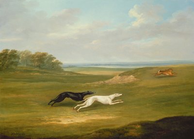 Course, une scène de chasse - John Nott Sartorius